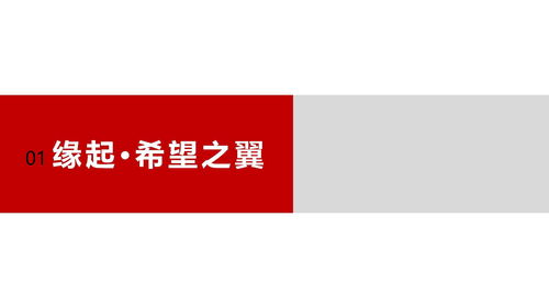 引領(lǐng)行業(yè)發(fā)展，彰顯卓越實力——企業(yè)形象宣傳片策劃方案
